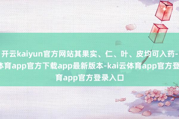 开云kaiyun官方网站其果实、仁、叶、皮均可入药-kai云体育app官方下载app最新版本-kai云体育app官方登录入口