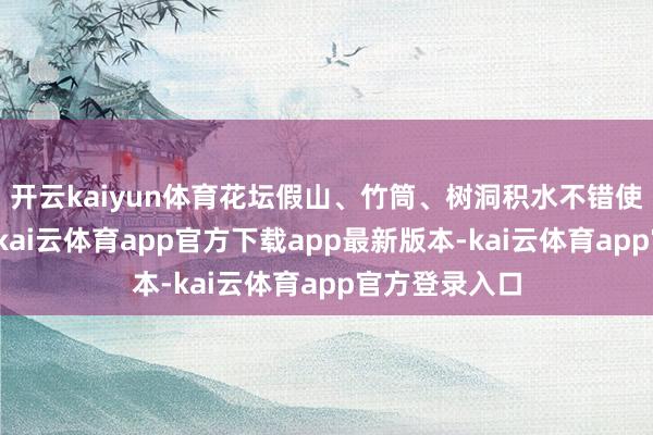 开云kaiyun体育花坛假山、竹筒、树洞积水不错使用沙土填满-kai云体育app官方下载app最新版本-kai云体育app官方登录入口
